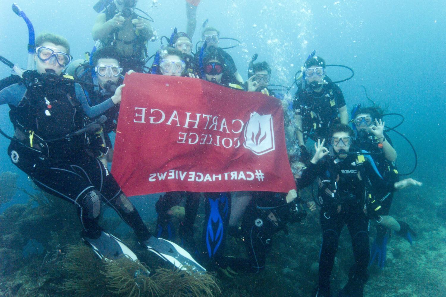 学生们手持<a href='http://wyqgyay1.skyvsky.net'>bv伟德ios下载</a>旗帜，在j学期洪都拉斯游学之旅中潜水.